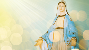 Blessed Virgin Lady Of Grace Miraculous Medal